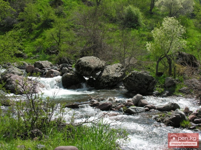река Кызыл-Суу