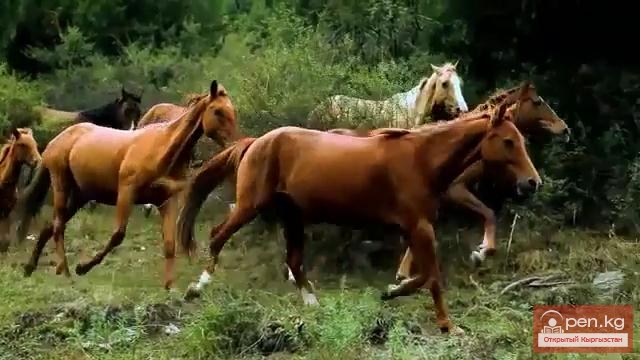 Кыргызская Республика - это наша земля