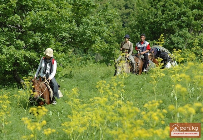 Экосистемы и особо охраняемые территории Кыргызстана