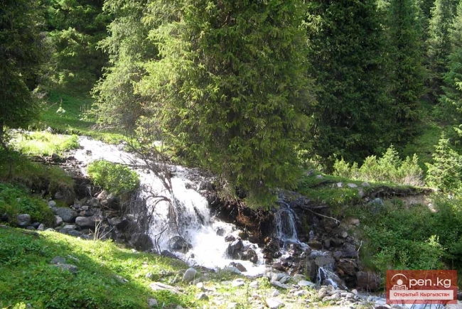 ущелье Арашан