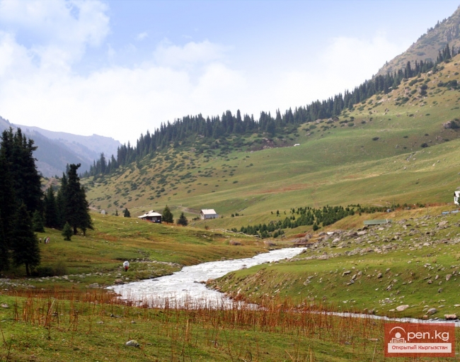 Алтын-Арашан