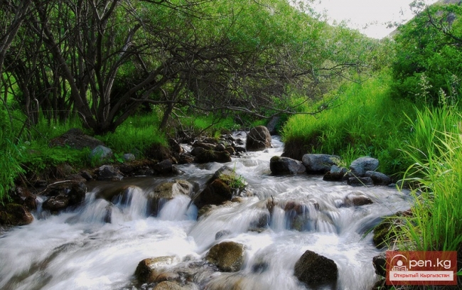 Природный парк Ала-Арча