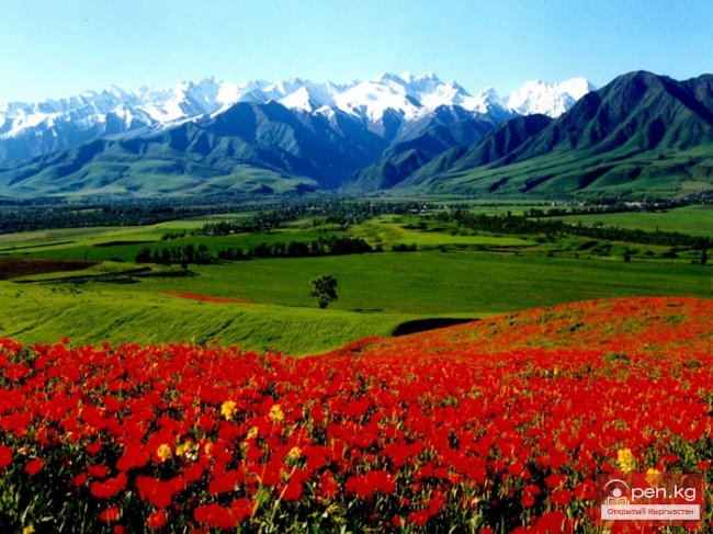 Долина реки Чаткал