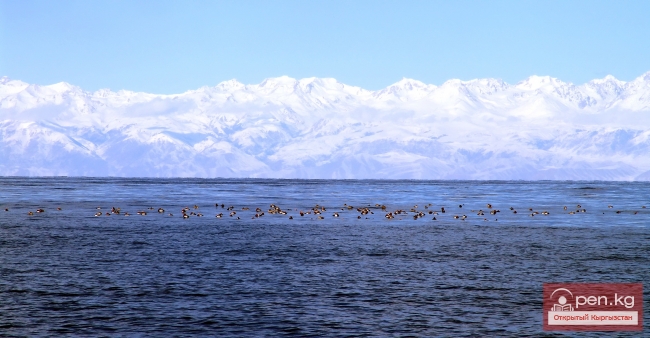 Озеро Иссык-Куль