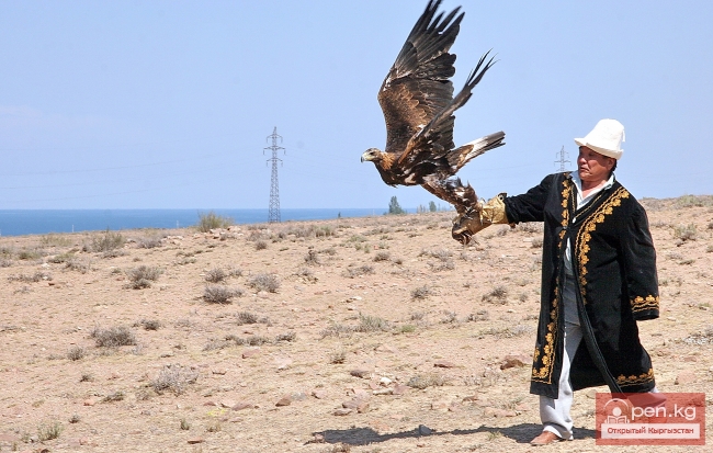 Животный мир Кыргызстана