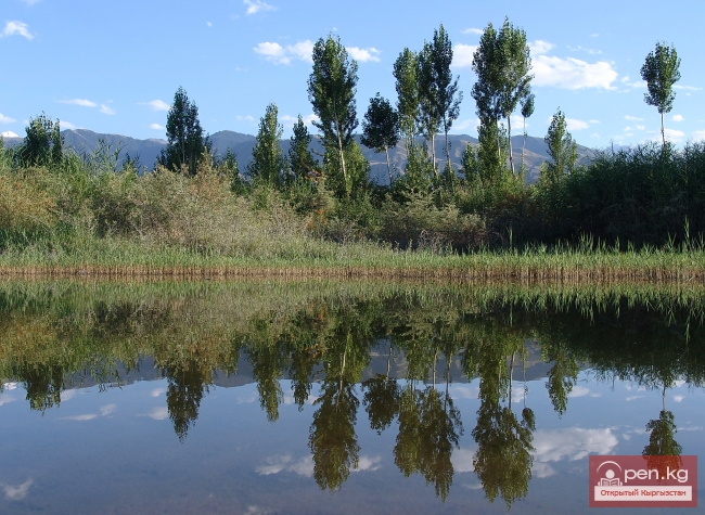 Природа Кыргызстана