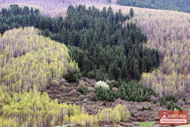 Природа Кыргызстана