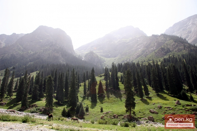 Природа Кыргызстана