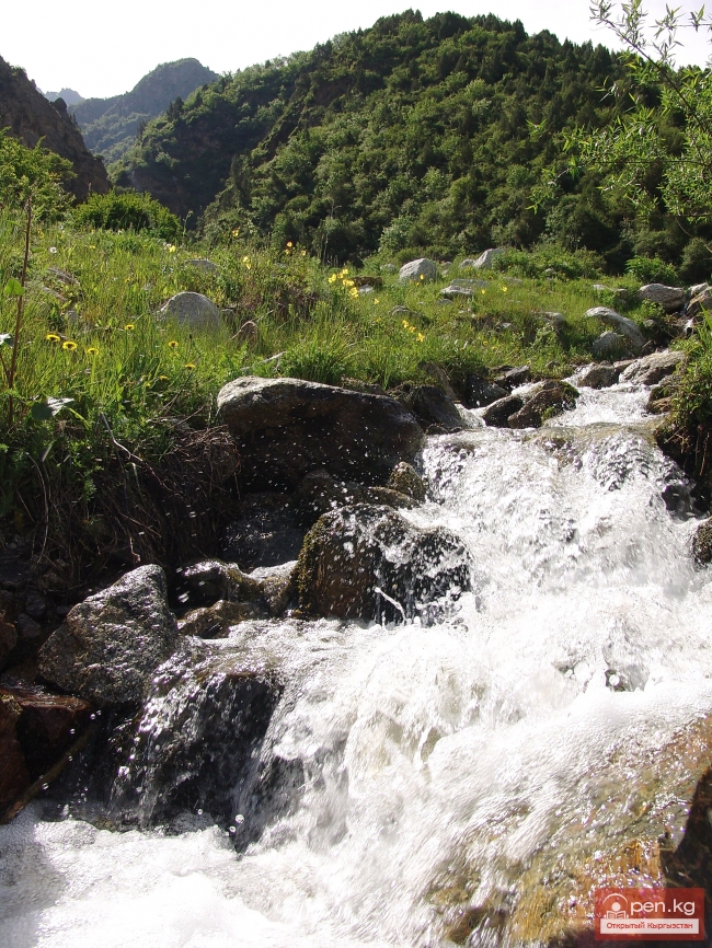 Природа Кыргызстана