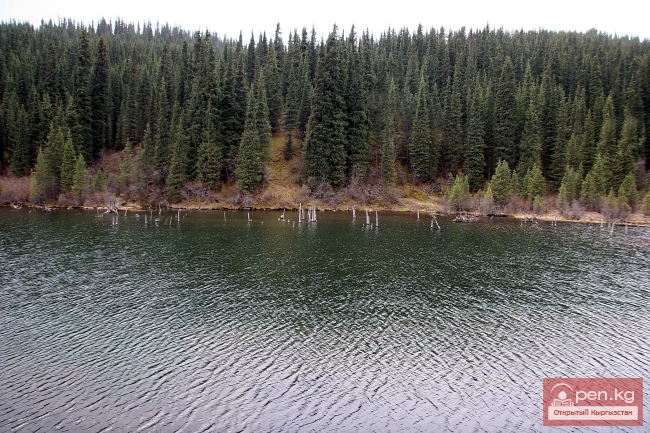 Природа Кыргызстана