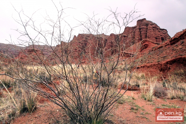 Природа Кыргызстана