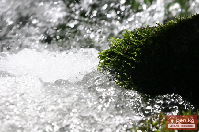 Природа Кыргызстана