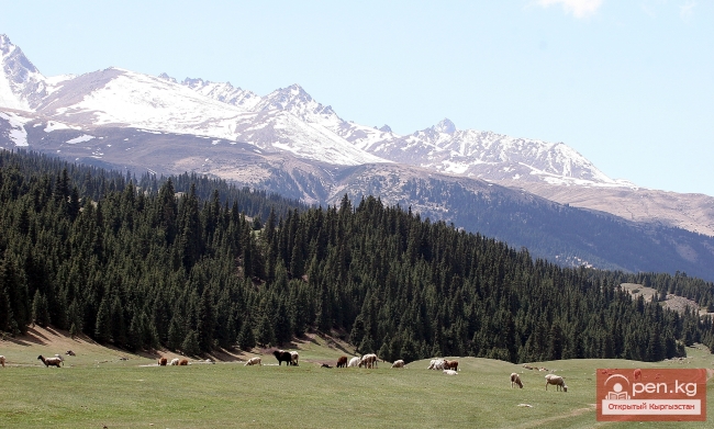 Природа Кыргызстана