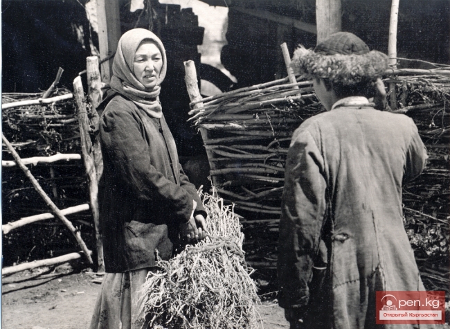 Материнское поле