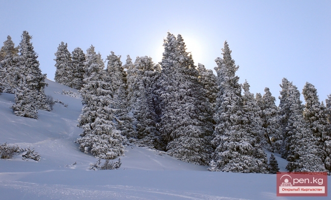 Зима в Кыргызстане
