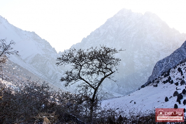 Зима в Кыргызстане