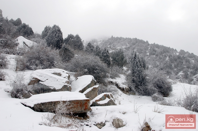 Зима в Кыргызстане