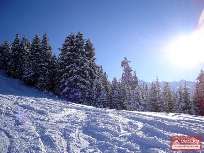 На благотворительном фестивале «Кыргызстан – страна горных лыж и зимнего отдыха – 2014» было собрано боле 65 000 сомов