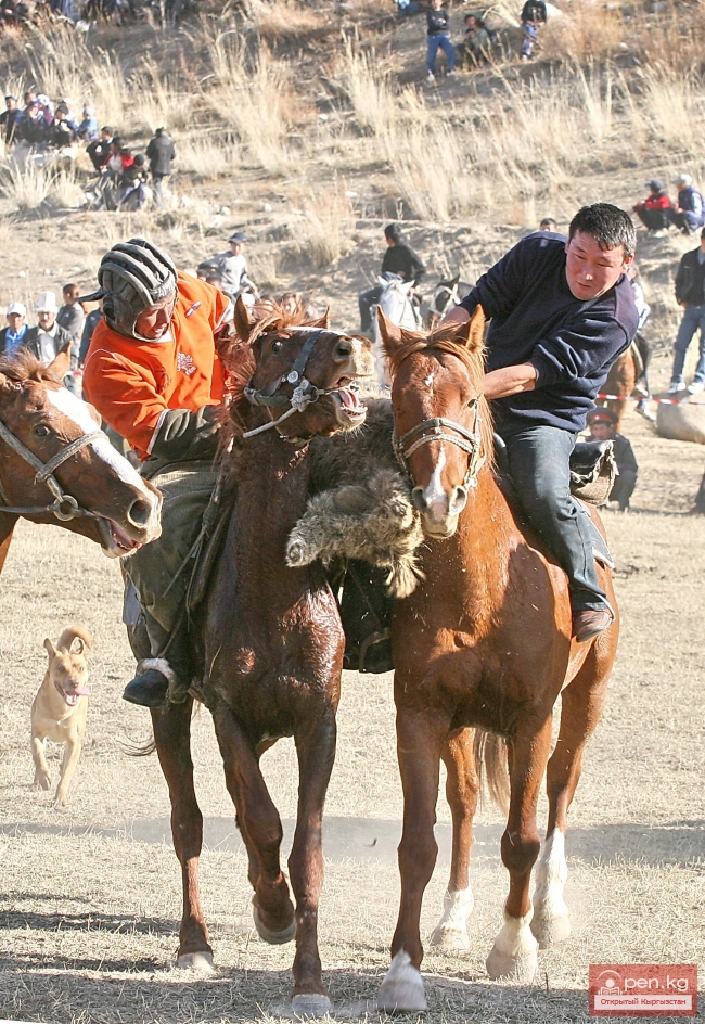 Улак-тартыш (козлодрание)