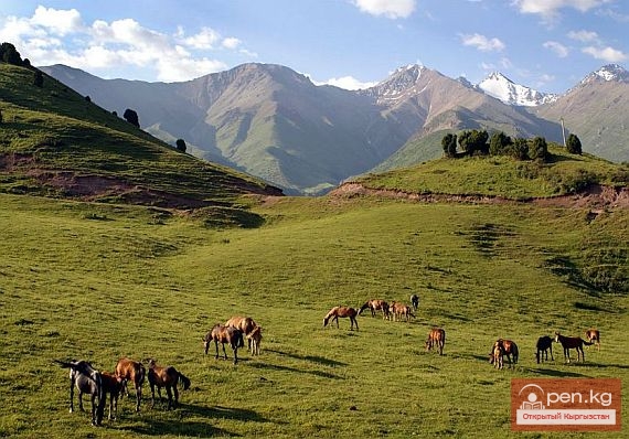Экономика кыргызов с древнейших времен до VI века