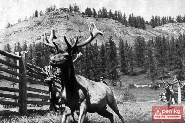 Природные ресурсы кыргызов в VI—XVIII веках