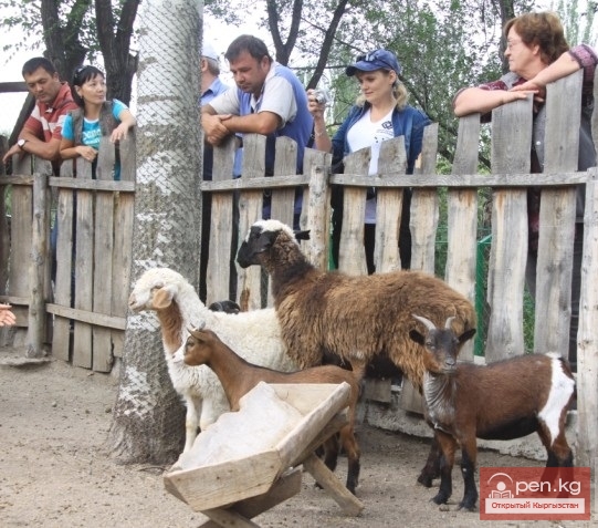 Каракольский зоопарк