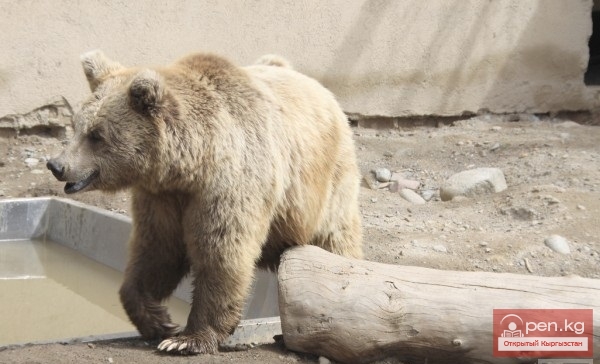 Каракольский зоопарк