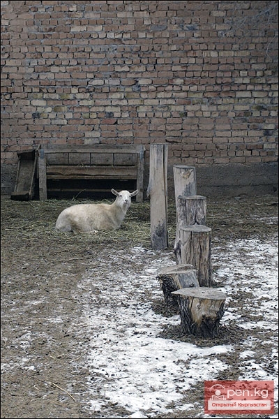 Каракольский зоопарк