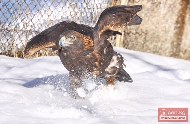 Каракольский зоопарк