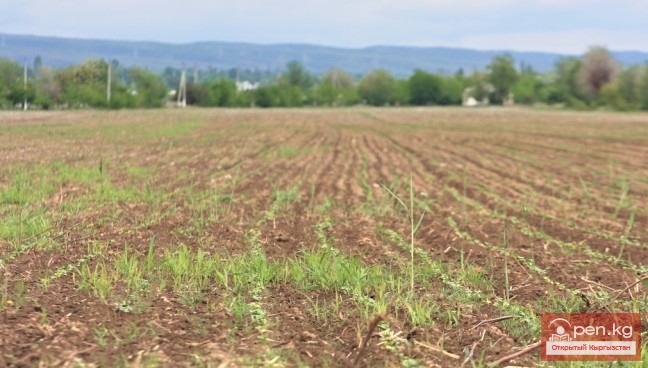 Земледелие, земельные ресурсы Кыргызстана Земледелие, земельные ресурсы Кыргызстана