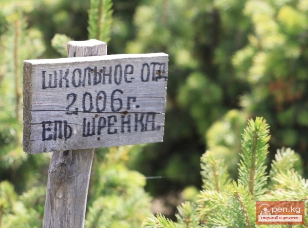 Биологические ресурсы