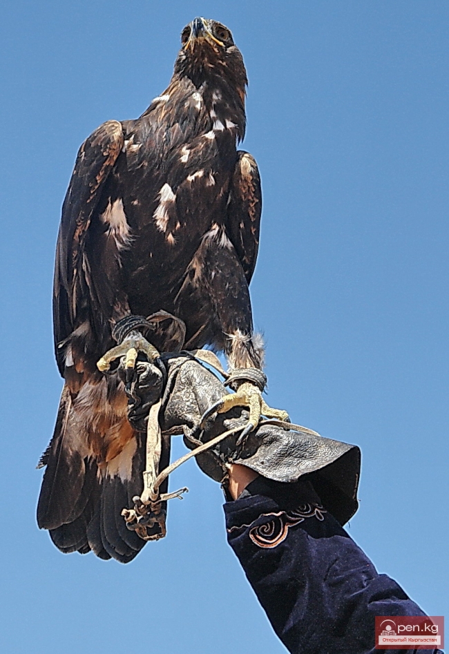 Национальные игры кыргызов Национальные игры кыргызов