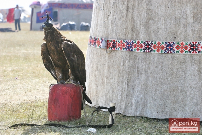 Национальные игры кыргызов Национальные игры кыргызов
