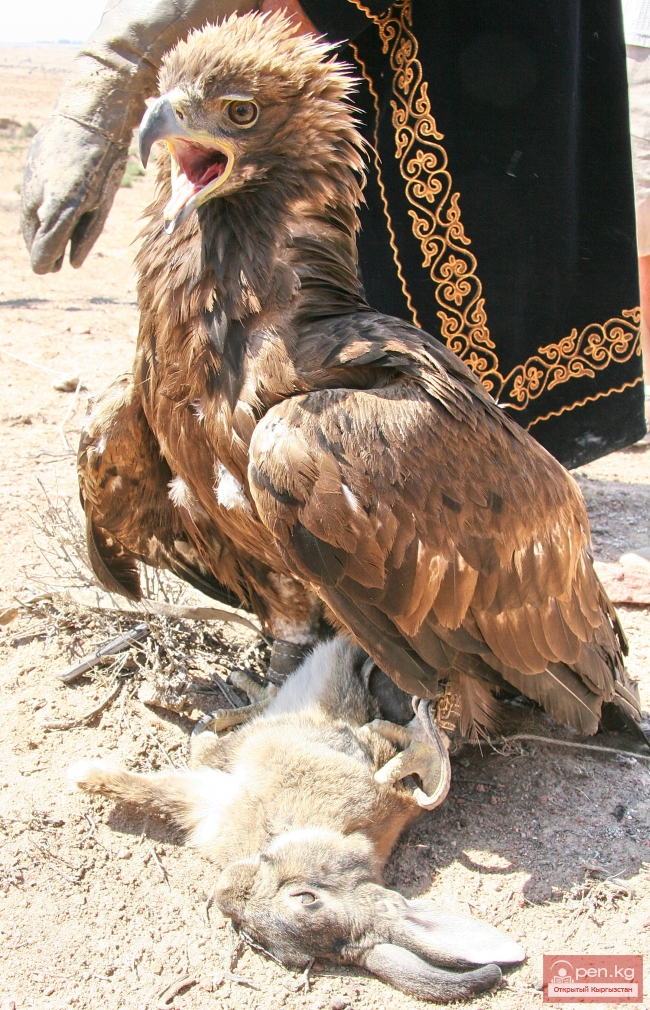 Национальные игры кыргызов Национальные игры кыргызов