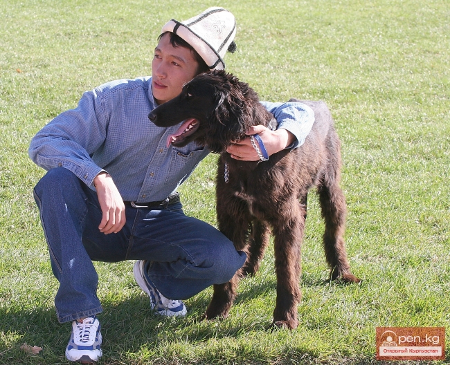 Национальные игры кыргызов Национальные игры кыргызов