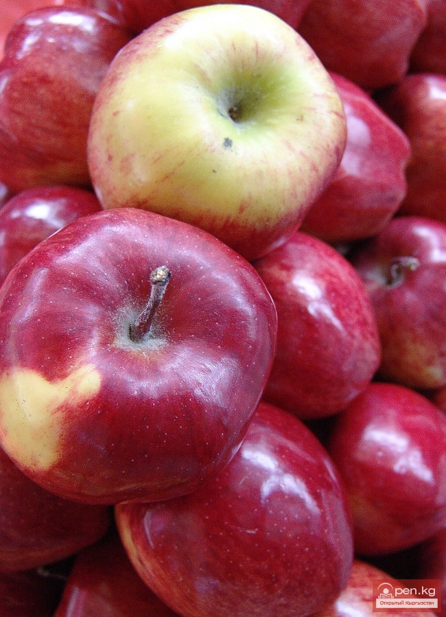 Растительный мир Кыргызстана