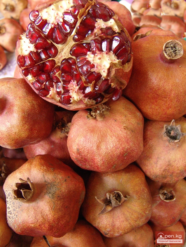 Растительный мир Кыргызстана