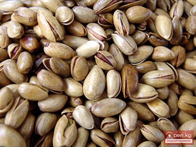 Растительный мир Кыргызстана