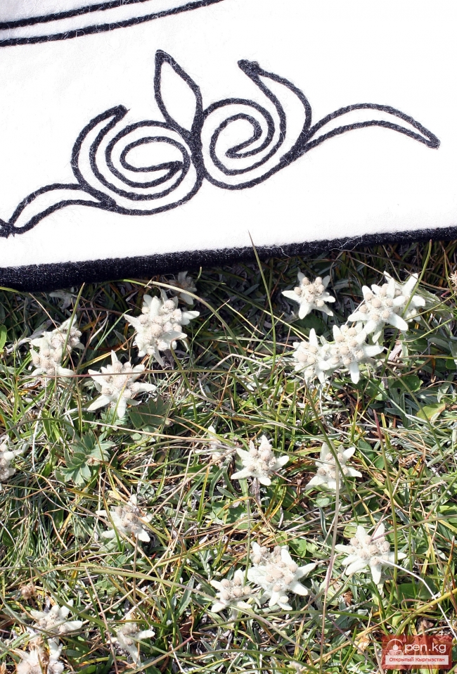 Растительный мир Кыргызстана