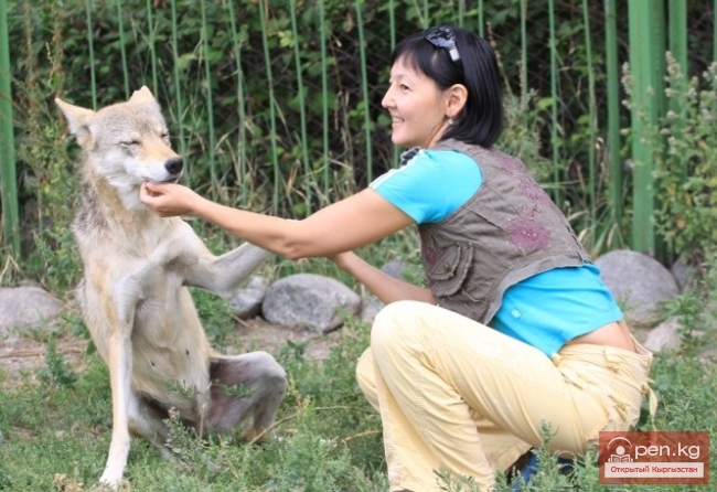 Каракольский зоопарк