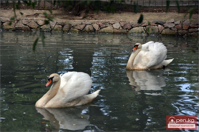 Каракольский зоопарк