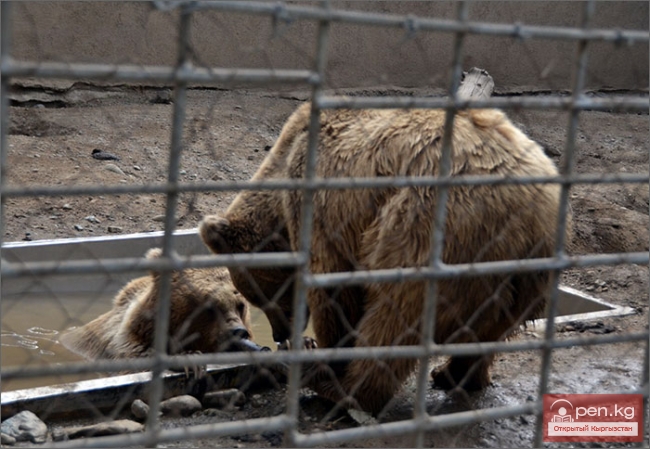 Каракольский зоопарк