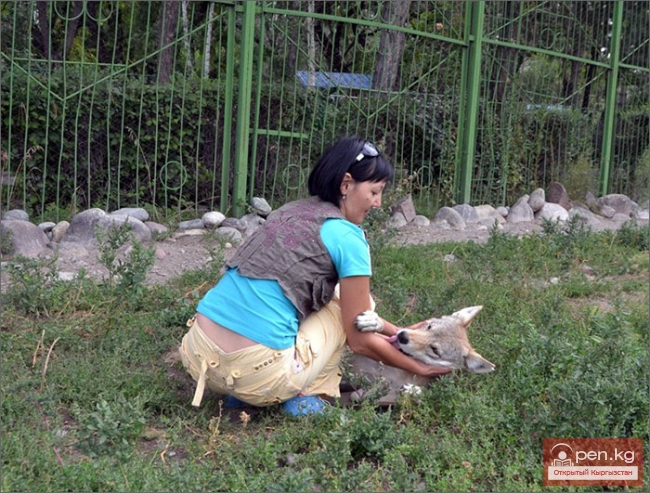 Каракольский зоопарк