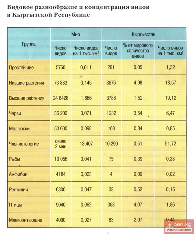 Видовое разнообразие и концентрация видов в Кыргызской Республике Видовое разнообразие и концентрация видов в Кыргызской Республике
