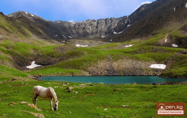 Геологическое строение и тектоника Чуйской долины