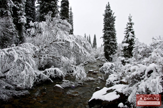 Исторические и праздничные даты КР: декабрь 2013