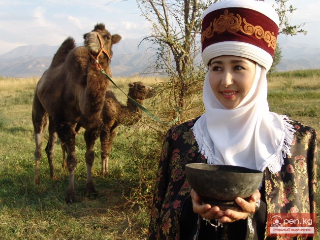Прогнозные ожидания по факторам стратегической матрицы Кыргызстана в период с 2005 по 2020 год