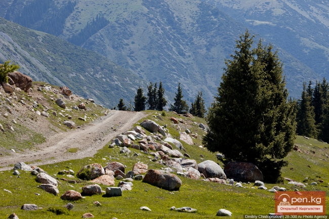 Рельеф Чуйской долины