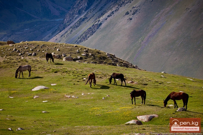 Климат в Чуйской долине