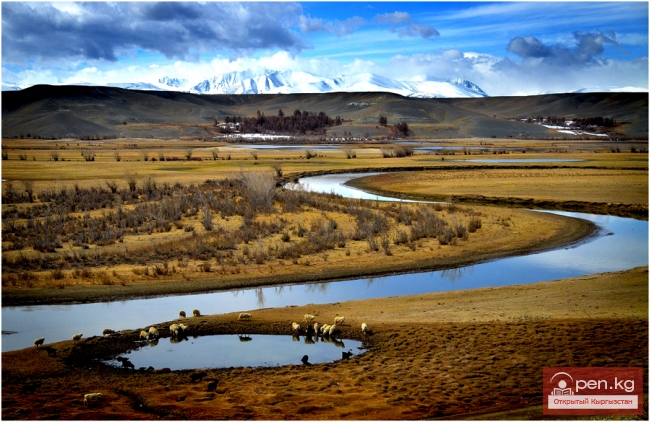 Почва Чуйской долины